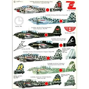 16th Grp 1st Sqdn Central China 1943 1969 Aircraft Warplane Print SV27-3